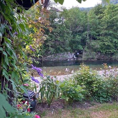 Riverside Villa Avo - Apartment Martin Spodnja Idrija Eksteriør billede