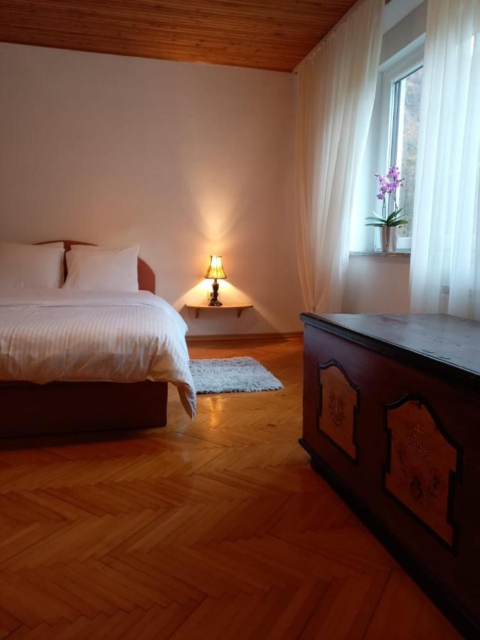Riverside Villa Avo - Apartment Martin Spodnja Idrija Eksteriør billede