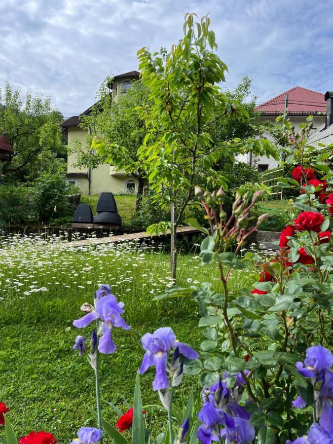 Riverside Villa Avo - Apartment Martin Spodnja Idrija Eksteriør billede