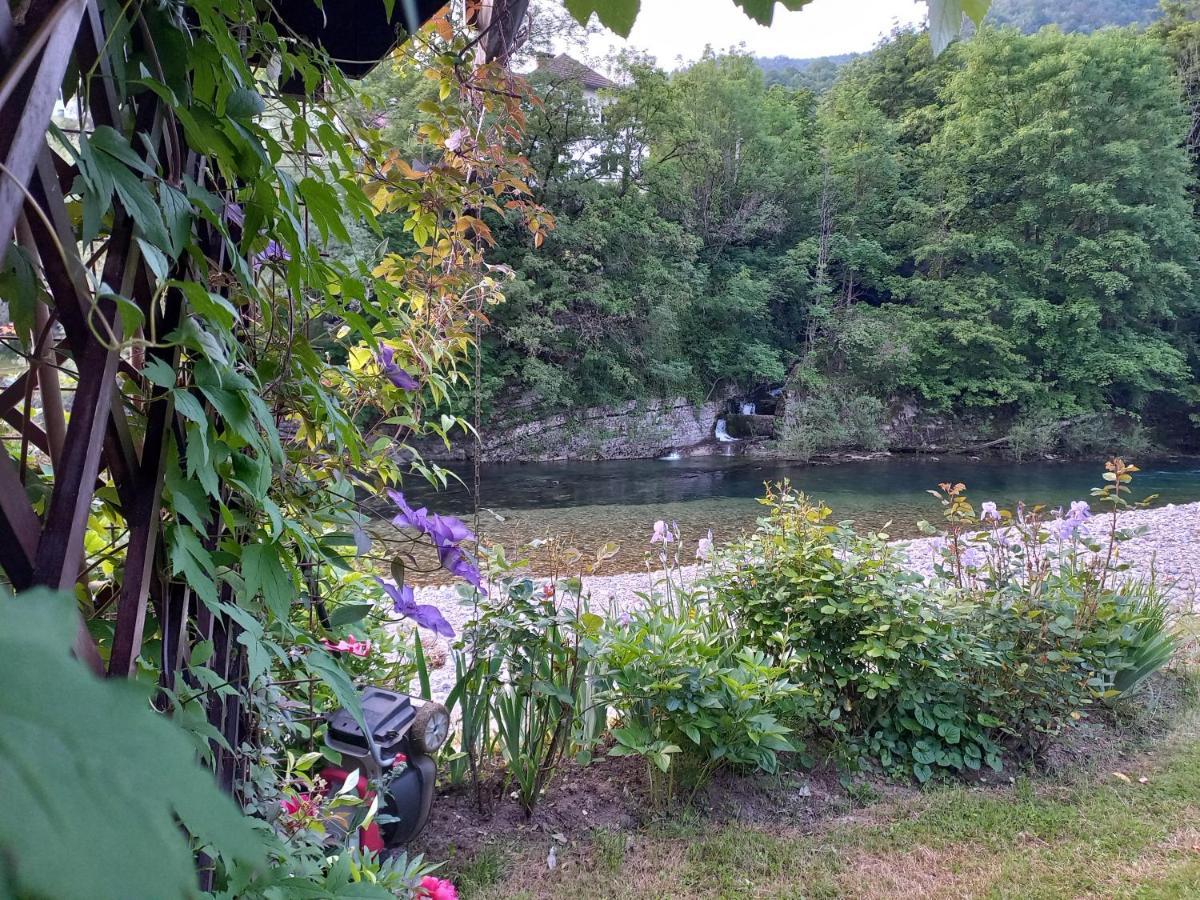 Riverside Villa Avo - Apartment Martin Spodnja Idrija Eksteriør billede
